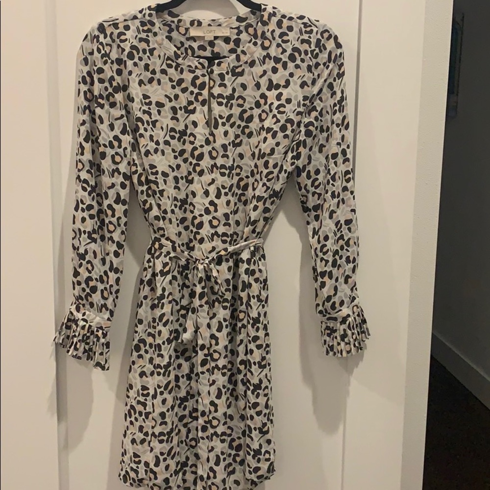 Loft Women’s Shift Dress in Leopard Print